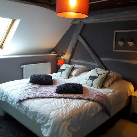 Traditional With Private Terrace Amas